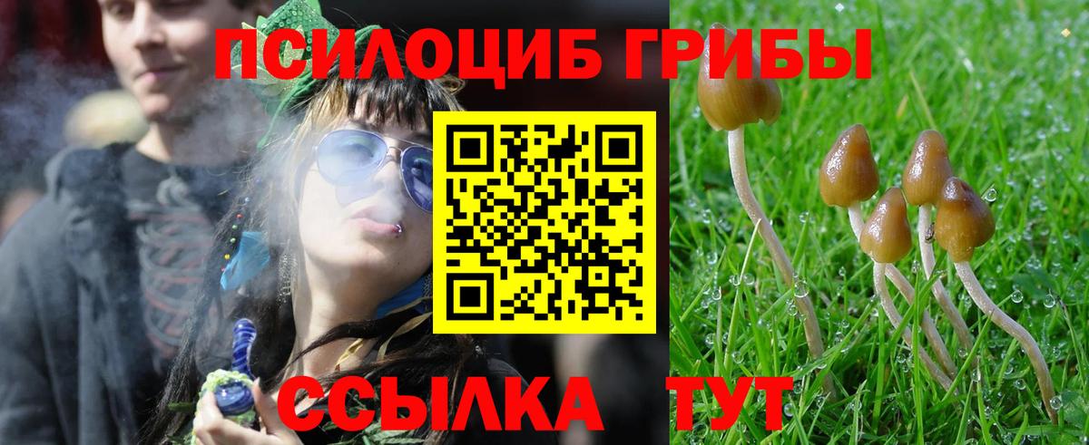 Галлюциногенные грибы прущие грибы Большой Камень