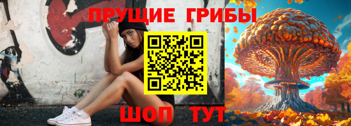 Большой Камень  Псилоцибиновые грибы мухоморы  Вход с VPN  Галлюциногенные грибы Psilocybe 